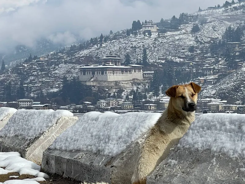 Bhutans weather in January 1