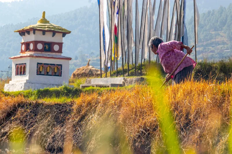 Bhutans weather in November 1