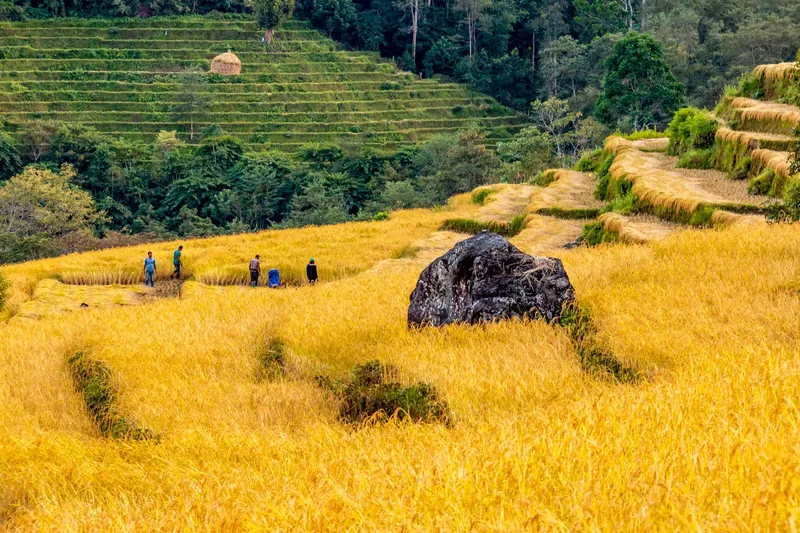 Bhutans weather in November 2