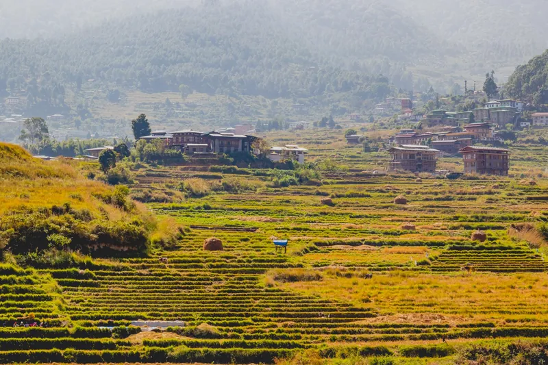 Bhutans weather in November 4
