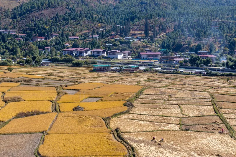 Bhutans weather in November 8