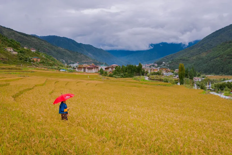 Bhutans weather in October 3